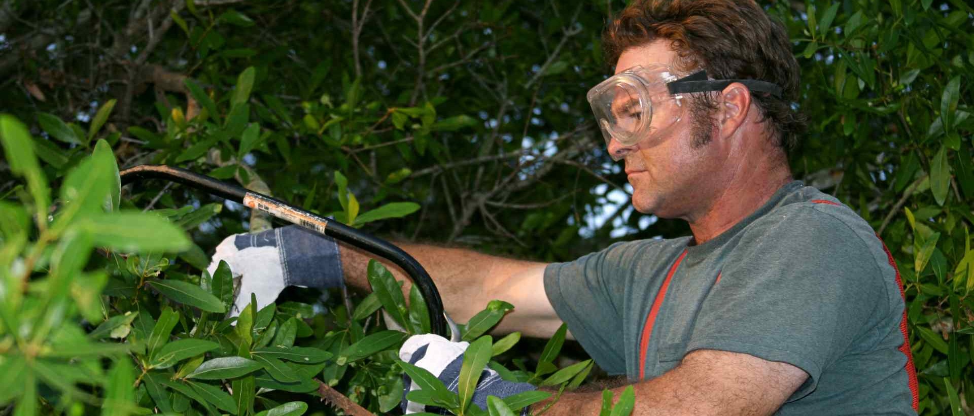 garden clearance UB9